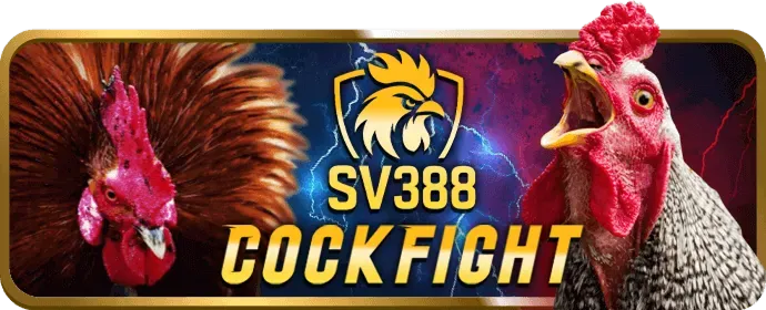 Bước 3: Cài Đặt và Đăng Nhập UFABET